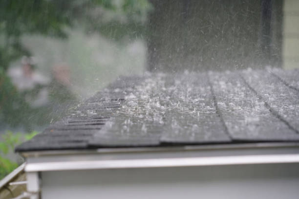 Best Green or Eco-Friendly Roofing Solutions  in Bethel Manor, VA