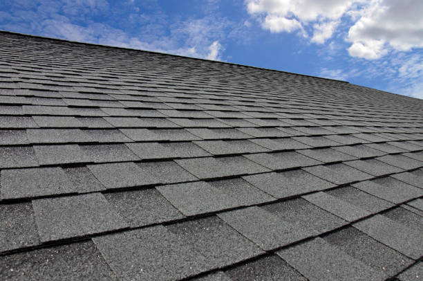 Best Roof Maintenance and Cleaning  in Bethel Manor, VA